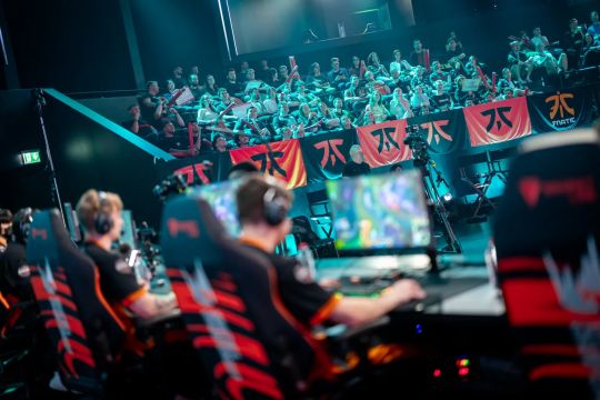 对位中毫不 对位中毫不