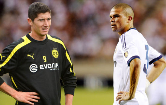 他们期望在 他们期望在